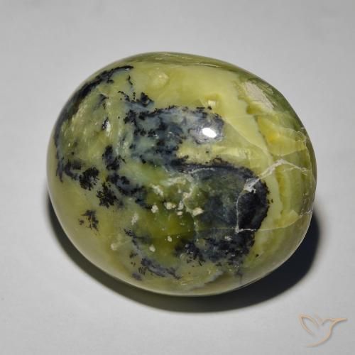 Ópalo ojo de gato Verde amarillento natural de 34.72 ct, Ovalada, Opaco