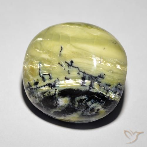 Ópalo ojo de gato Verde medio natural de 18.52 ct, Ovalada, Opaco