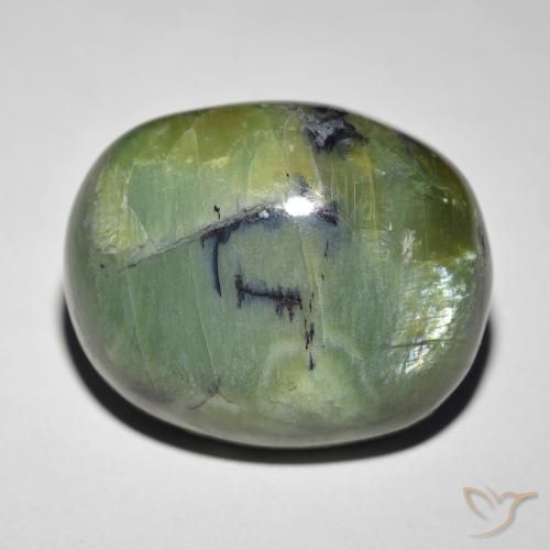 18.89ct Natural Verde terroso Ópalo ojo de gato, Ovalada, Opaco