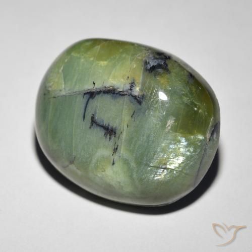 Ópalo ojo de gato Verde terroso natural de 18.89 ct, Ovalada, Opaco