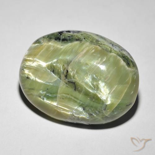 Ópalo ojo de gato Verde amarillento natural de 14.58 ct, Ovalada, Opaco