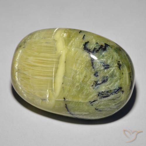 Ópalo ojo de gato Verde terroso natural de 39.60 ct, Ovalada, Opaco