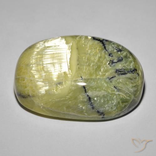 Ópalo ojo de gato Verde terroso natural de 39.60 ct, Ovalada, Opaco