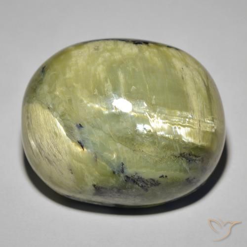 41.82ct Natural Verde amarillento Ópalo ojo de gato, Ovalada, Opaco