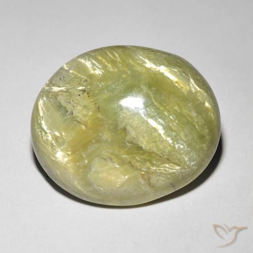 9.84ct Natural Verde bosque cálido Ópalo ojo de gato, Ovalada, Opaco