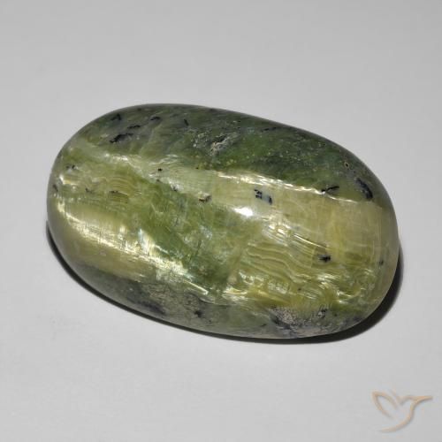 Ópalo ojo de gato Verde terroso natural de 17.52 ct, Ovalada, Opaco