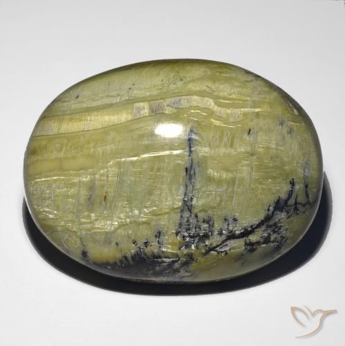 Ópalo ojo de gato Verde terroso natural de 48.21 ct, Ovalada, Opaco