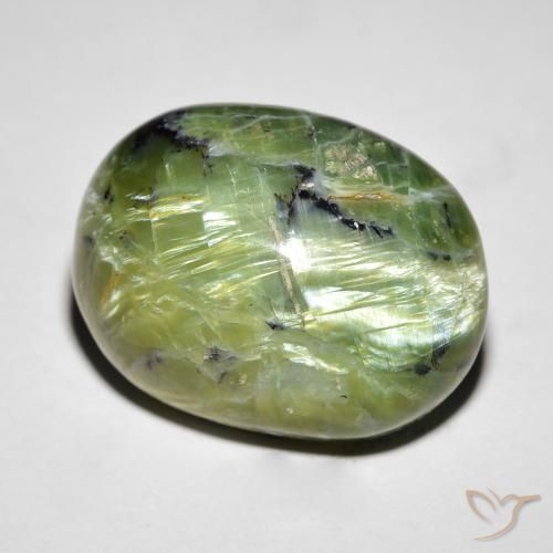 14.55ct Natural Verde medio Ópalo ojo de gato, Ovalada, Opaco