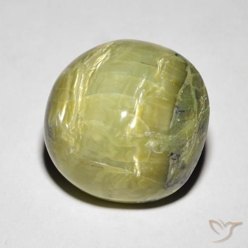 Ópalo ojo de gato Verde terroso natural de 10.64 ct, Ovalada, Opaco