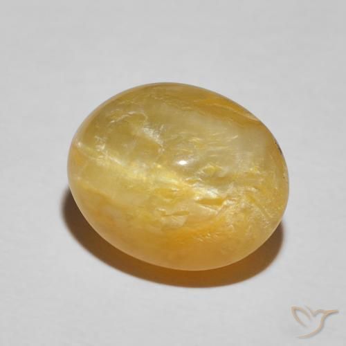 Ópalo ojo de gato Dorado natural de 7.90 ct, Ovalada, Opaco
