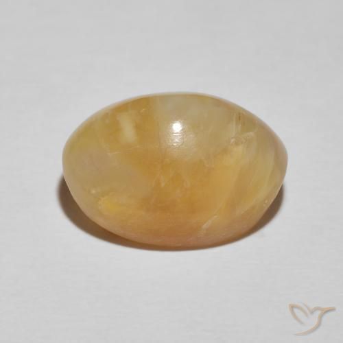 Ópalo ojo de gato Naranja dorado natural de 9.26 ct, Ovalada, Opaco