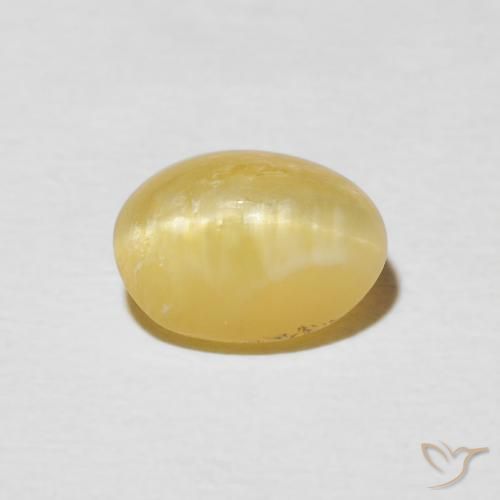 Ópalo ojo de gato Amarillo cálido natural de 1.45 ct, Ovalada, Opaco