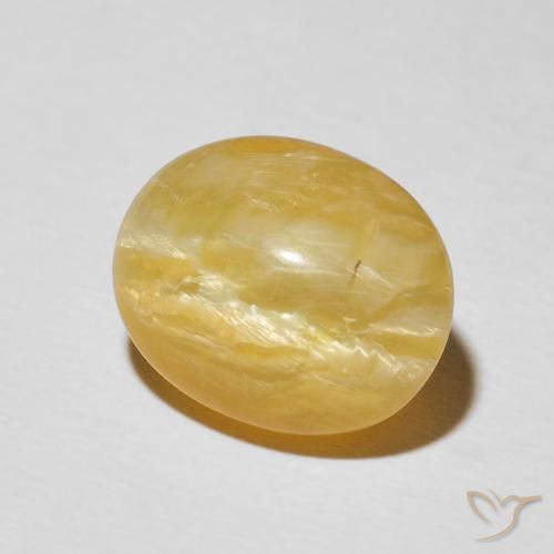 Ópalo ojo de gato Naranja dorado natural de 5.56 ct, Ovalada, Opaco