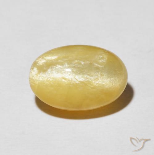 6.04ct Natural Dorado medio Ópalo ojo de gato, Ovalada, Opaco