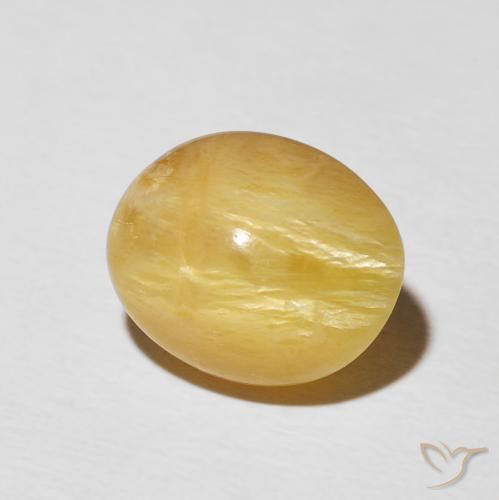 Ópalo ojo de gato Dorado medio natural de 5.55 ct, Ovalada, Opaco