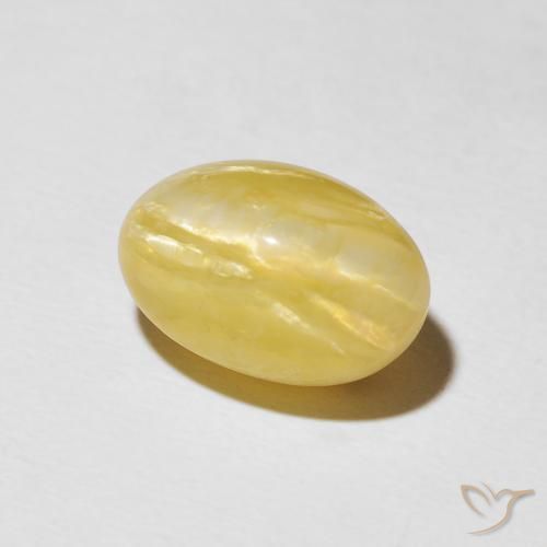 Ópalo ojo de gato Amarillo toscana natural de 5.44 ct, Ovalada, Opaco