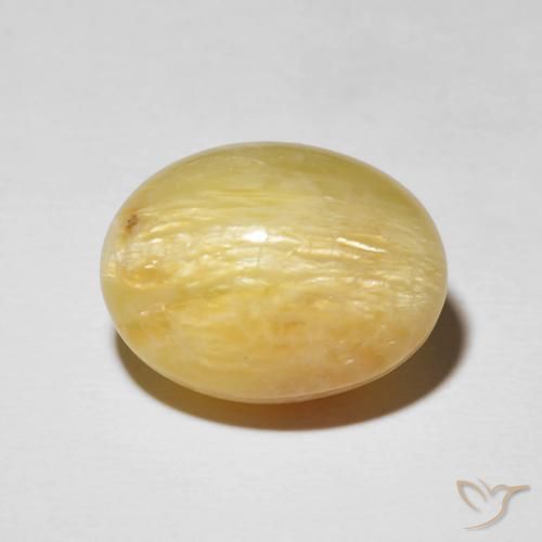 14.38ct Natural Amarillo solidago Ópalo ojo de gato, Ovalada, Opaco
