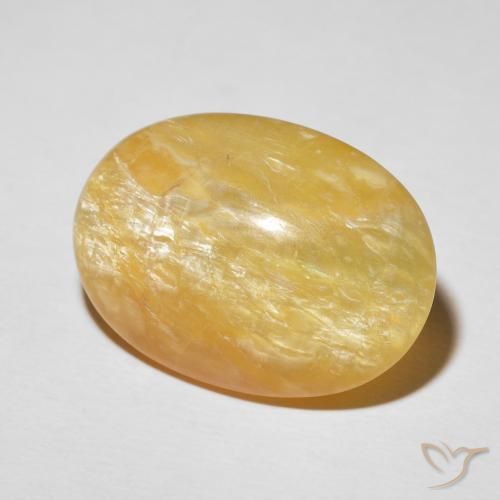 Ópalo ojo de gato Dorado medio natural de 19.78 ct, Ovalada, Opaco