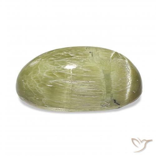 Ópalo ojo de gato Verde amarillento natural de 7.30 ct, Ovalada, Opaco