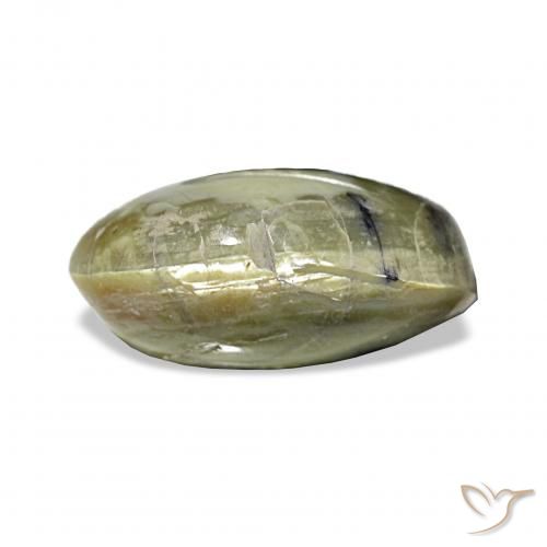 3.02ct Verde amarillento Ópalo ojo de gato, Ovalada, Opaco