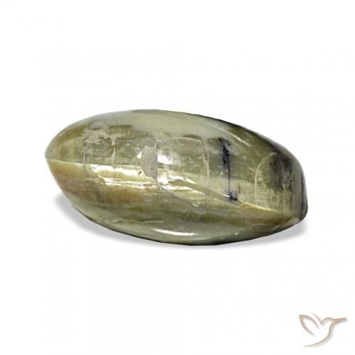 Ópalo ojo de gato Verde amarillento natural de 3.02 ct, Ovalada, Opaco