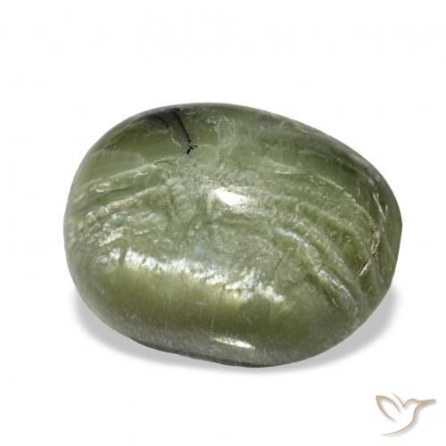 Ópalo ojo de gato Verde amarillento natural de 2.64 ct, Ovalada, Opaco