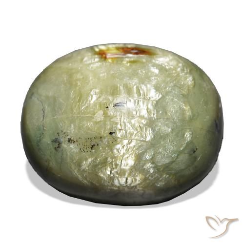 Ópalo ojo de gato Verde terroso natural de 21.69 ct, Forma Cojín, Opaco