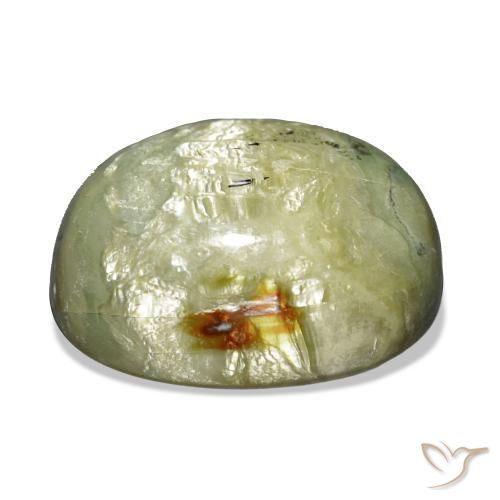 Ópalo ojo de gato Verde terroso natural de 21.69 ct, Forma Cojín, Opaco