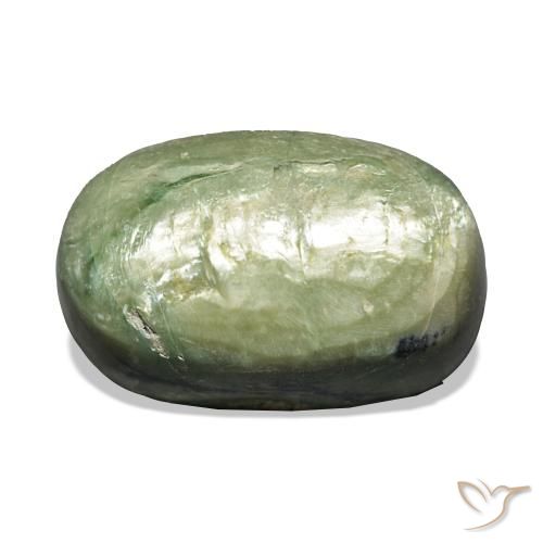 Ópalo ojo de gato Verde cálido natural de 11.06 ct, Ovalada, Opaco