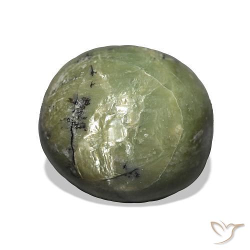 Ópalo ojo de gato Verde terroso natural de 4.99 ct, Ovalada, Opaco