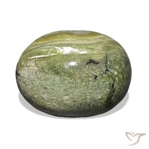 Ópalo ojo de gato Verde grisáceo natural de 12.06 ct, Ovalada, Opaco