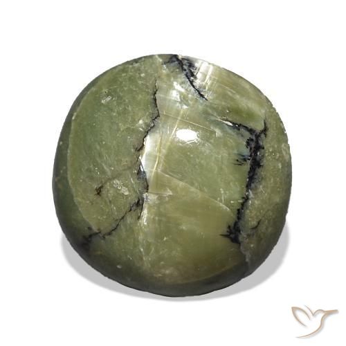 Ópalo ojo de gato Verde cálido natural de 3.00 ct, Forma Cojín, Opaco