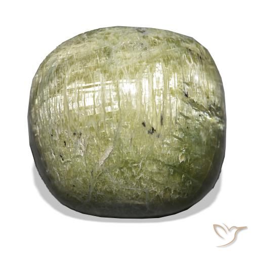 Ópalo ojo de gato Verde medio natural de 19.28 ct, Forma Cojín, Opaco