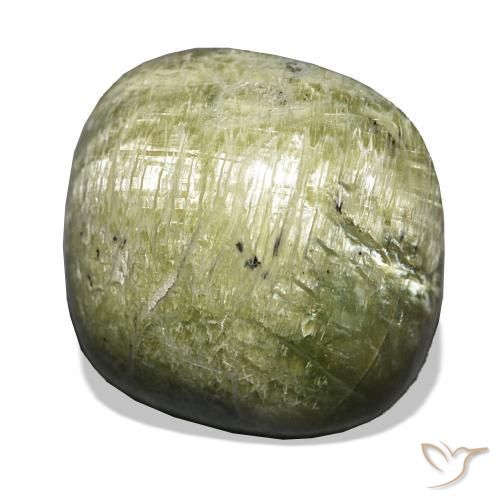 Ópalo ojo de gato Verde medio natural de 19.28 ct, Forma Cojín, Opaco