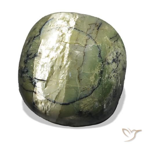 Ópalo ojo de gato Verde amarillento natural de 28.96 ct, Corte Cojín, Opaco