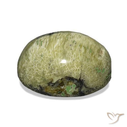 Ópalo ojo de gato Verde terroso natural de 8.06 ct, Ovalada, Opaco