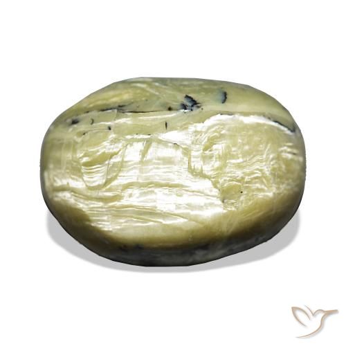Ópalo ojo de gato Verde cálido natural de 11.66 ct, Ovalada, Opaco