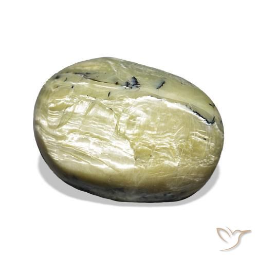 Ópalo ojo de gato Verde cálido natural de 11.66 ct, Ovalada, Opaco