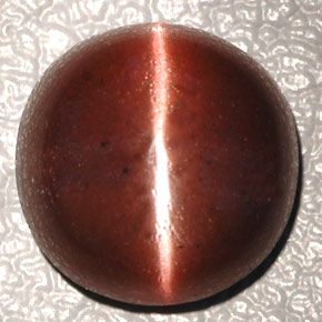 Cat's eye scapolite marrón natural de 4,26 ct, corte óvalo, opaco