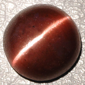 Cat's eye scapolite marrón natural de 4,26 ct, corte óvalo, opaco