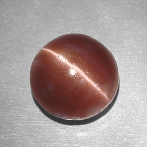 Cat's eye scapolite marrón natural de 2,78 ct, corte redondo, opaco