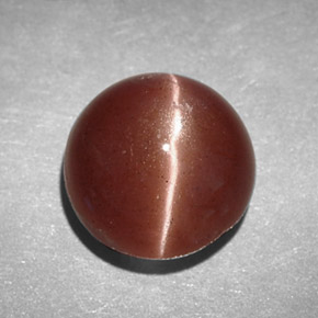 Cat's eye scapolite marrón natural de 2,78 ct, corte redondo, opaco