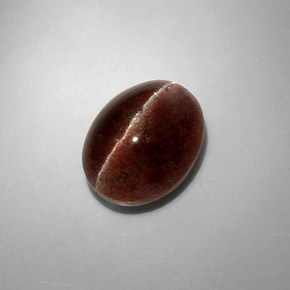 Cat's eye scapolite marrón natural de 8,31 ct, corte óvalo, translúcido