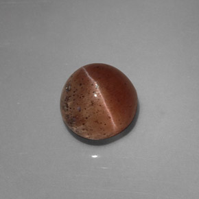 Cat's eye scapolite marrón natural de 2,31 ct, transparente, transparente / translúcido