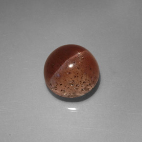 Cat's eye scapolite marrón natural de 2,31 ct, transparente, transparente / translúcido