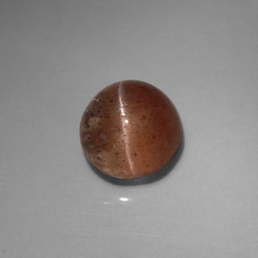 Cat's eye scapolite marrón natural de 2,31 ct, transparente, transparente / translúcido