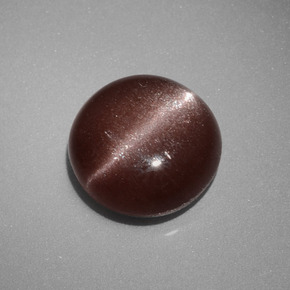 Cat's eye scapolite marrón natural de 2,40 ct, corte redondo, opaco