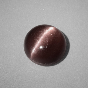 Cat's eye scapolite marrón natural de 1,58 ct, corte redondo, opaco