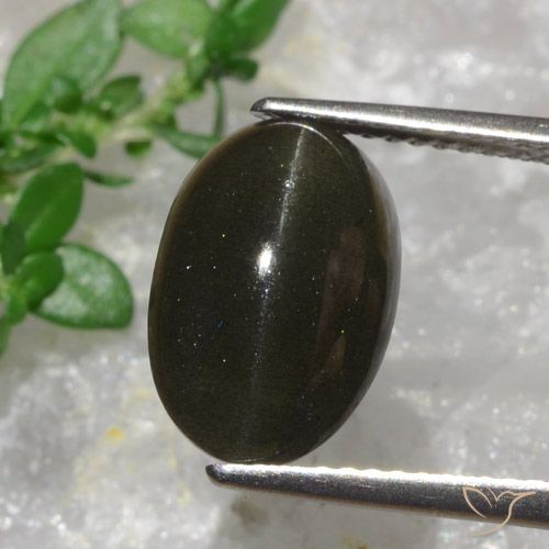 Escapolita Ojo de Gato Marrón negruzco natural de 6.38 ct, Corte Óvalo, Translúcido