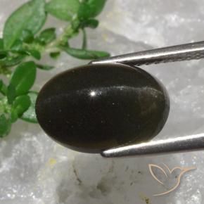 Escapolita Ojo de Gato Marrón negruzco natural de 6.38 ct, Corte Óvalo, Translúcido